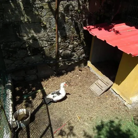Casa Rosinha Maior Σπίτι διακοπών