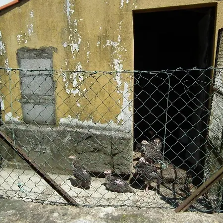 Σπίτι διακοπών Casa Rosinha Maior Riba de Âncora